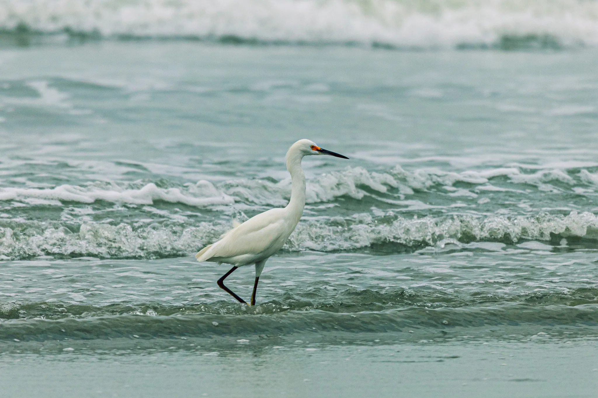 Surfista se equilibrando em onda cristalina